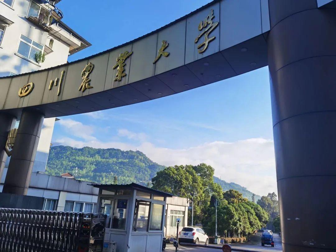 四川农业大学的王牌专业排名(附招生计划)-广东技校排名网