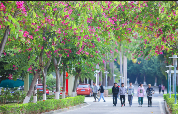 广州南洋理工学院(附3+招生计划)-广东技校排名网