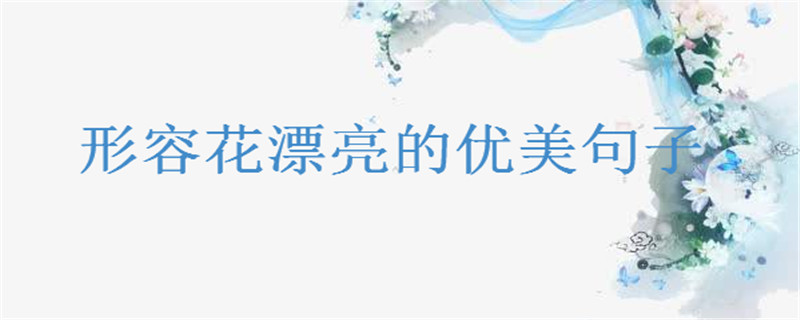 形容花漂亮的优美句子盘点句句唯美！朋友圈晒花的短语为你推荐-广东技校排名网