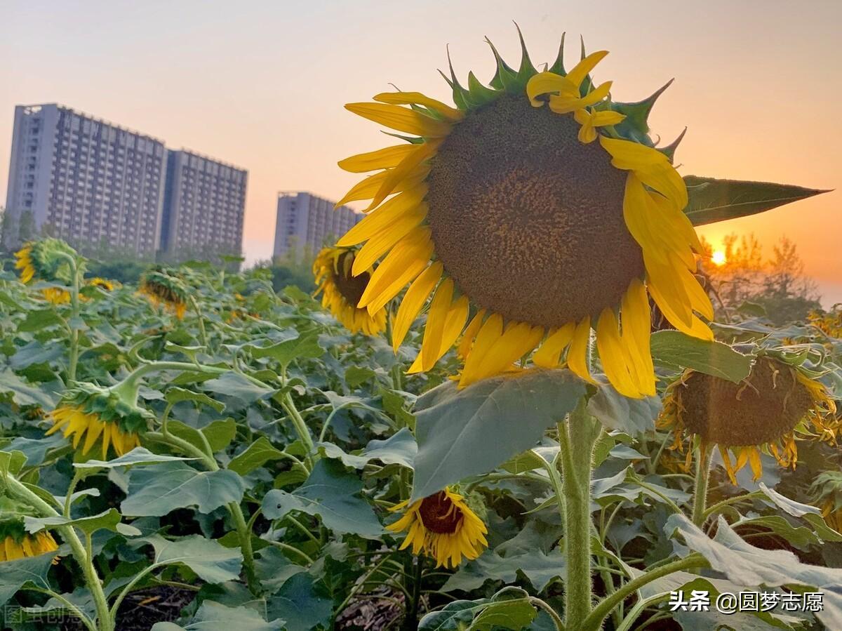 浙江工商大学是211吗或者985吗(附2022年招生专业)-广东技校排名网