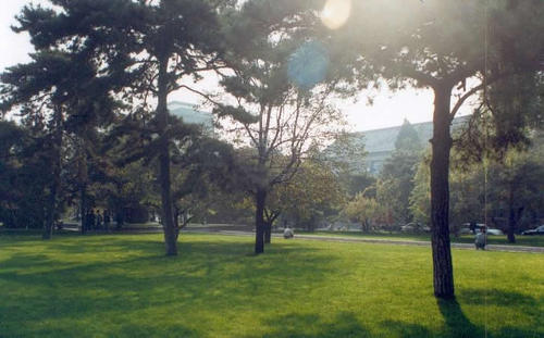 中央民族大学考研好考吗录取线高不高?2020中央民大考研人数多吗?-广东技校排名网