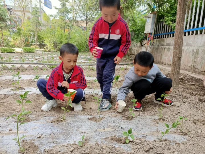 隆德县第一幼儿园2022年秋季学期招生简章（招生对象+招生范围+报名时间）-广东技校排名网