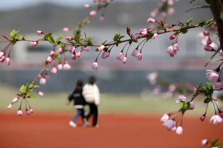 镇江高等专科学校2022年招生简章 附：3+2招生简章-广东技校排名网