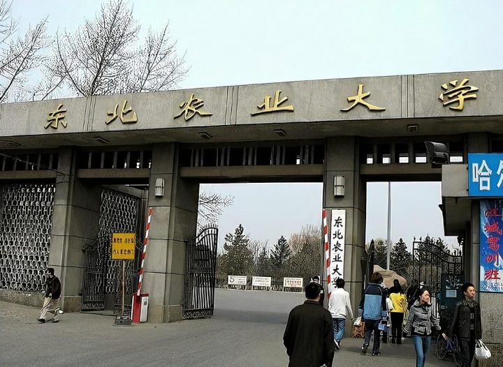 黑龙江省最好的大学排名一览表 2023全省高校最新TOP10名单-广东技校排名网