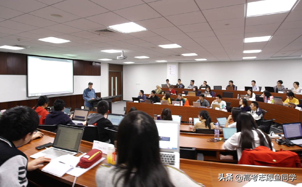 大学热门专业排名（大学热门专业排名前十名）-广东技校排名网