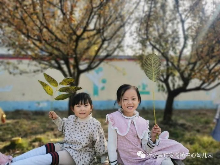 沂水县许家湖镇中心幼儿园2022年秋季招生简章 附：招生计划、报名方式及时间-广东技校排名网