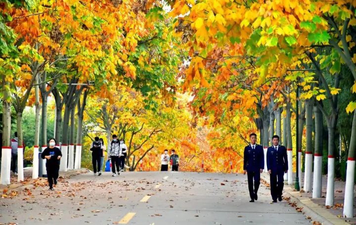 山东交通职业学院新生开学报到时间 附：报到须知全攻略-广东技校排名网