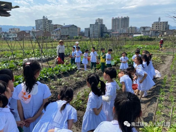 南江镇金贝儿幼儿园2022秋季招生简章（招生对象+招生时间+入学资料）-广东技校排名网