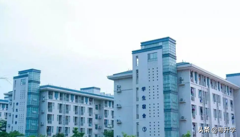 广东青年职业学院（附校园环境）-广东技校排名网