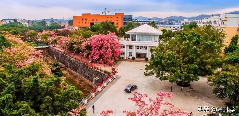 广东青年职业学院（附校园环境）-广东技校排名网