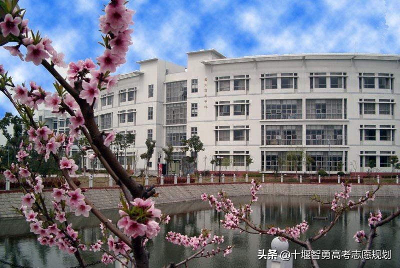 上海商学院录取分数线（附上海市本科计划）-广东技校排名网