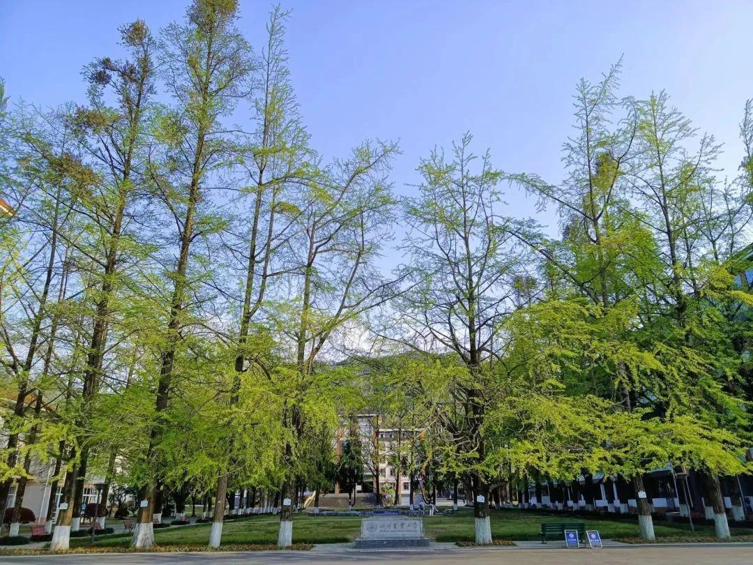 四川农业大学的王牌专业排名(附招生计划)-广东技校排名网