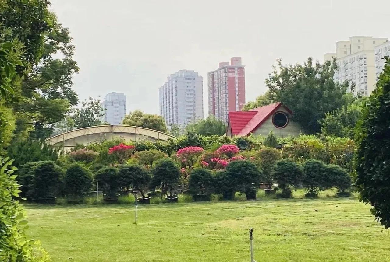 河南商务学校东区怎么样好不好(附收费标准)-广东技校排名网
