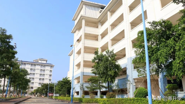 广东信息工程职业学院是野鸡大学吗？（附招生专业和收费标准）-广东技校排名网