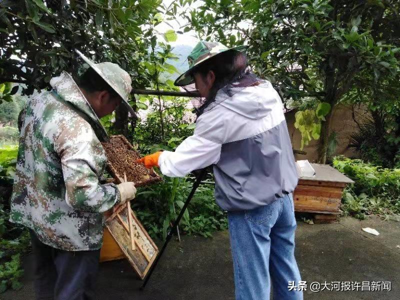 许昌学院毕业好找工作吗（附招生专业）-广东技校排名网
