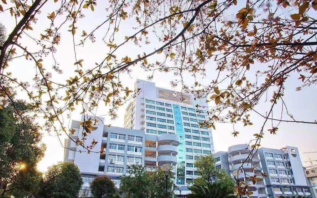 湖南省内大学排名（附湖南本科学校名单）-广东技校排名网