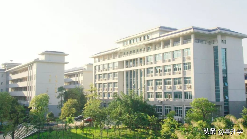 广东信息工程职业学院是野鸡大学吗？（附招生专业和收费标准）-广东技校排名网