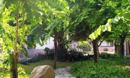 广东最美中专学院(附广东省属中专学校名单)-广东技校排名网