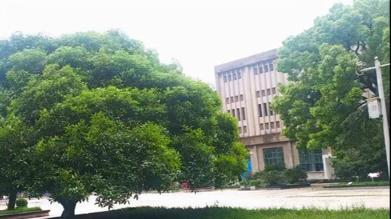 博雅有多牛？办学仅7年，冲进衡阳民校前四！-1