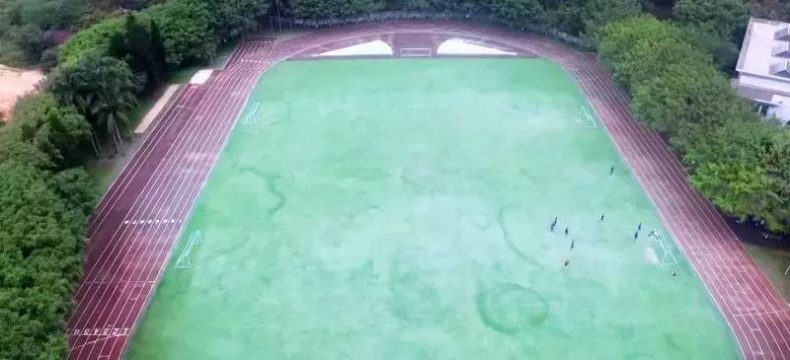 广州市新造职业技术学校怎么样（附：2022年招生计划、招生要求）-1