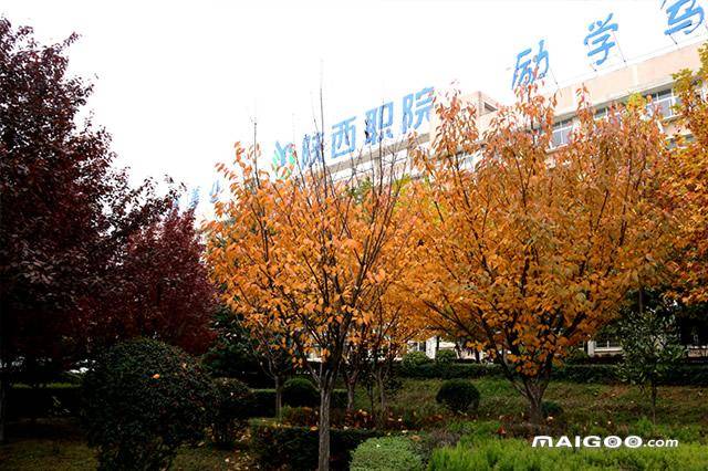 陕西省专科前十名学校排名(附:陕西高职高专学校名单)-1 陕西省专科前十名学校排名(附:陕西2023大专学校排行榜)-广东技校排名网