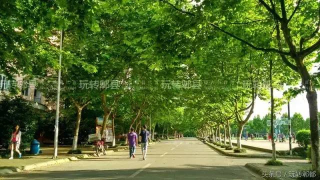 成都市电子高专现在叫什么（成都市电子高专学校）-1