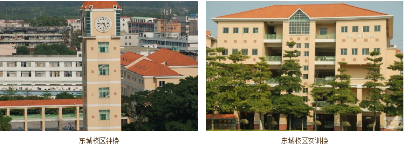 东莞市中职学校推荐-东莞中专院校前十排名-1 东莞市中职学校推荐-东莞中专院校前十排名-广东技校排名网