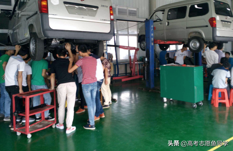 大专男生最吃香的十大专业？专科专业有哪些？如何选择大专专业？-1