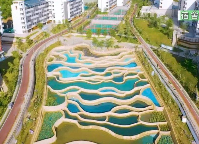 广东幼师职业技术学校推荐(附:幼儿师范高等专科学校列表)-1 广东幼师职业技术学校推荐(附:幼儿师范高等专科学校列表)-广东技校排名网