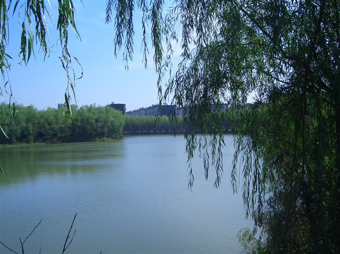 2020最新金融学考研学校难度排名揭秘?金融学考研哪个学校最容易?-广东技校排名网