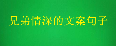 关于兄弟情深的唯美句子大盘点，兄弟情深的朋友圈文案-广东技校排名网