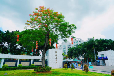 -1 广东高职高考能考的本科及招生专业-广东技校排名网