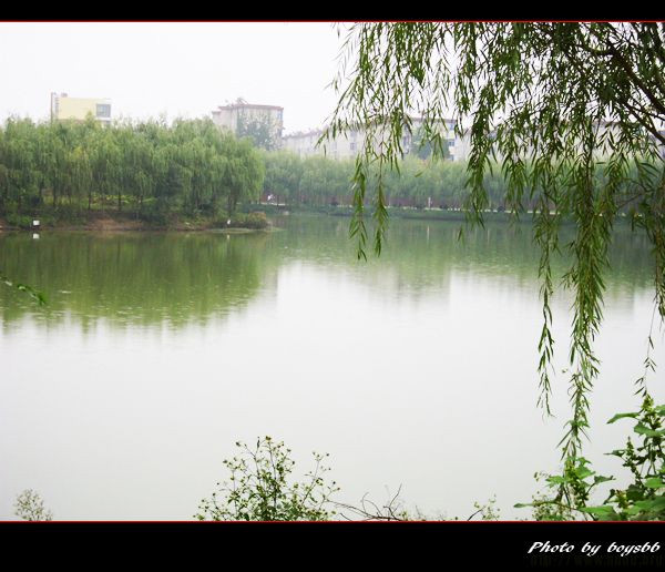 2019北京自学考试专业一览表介绍?北京自考难吗和外省含金量一样?-广东技校排名网