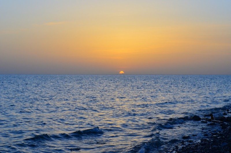 古筝和古琴哪个好学难易程度揭秘？女孩子是学古筝好还是古琴好？-广东技校排名网