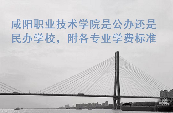 咸阳职业技术学院是公办还是民办学校,附各专业学费标准!-广东技校排名网