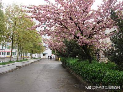 遵义市前十名重点高中-贵州省最好中学排行榜-1 遵义市前十名重点高中-贵州省最好中学排行榜-广东技校排名网