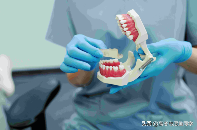 女生学医哪个专业好,缺口大,就业前景好?-1 女生学医哪个专业好,缺口大,就业前景好?-广东技校排名网