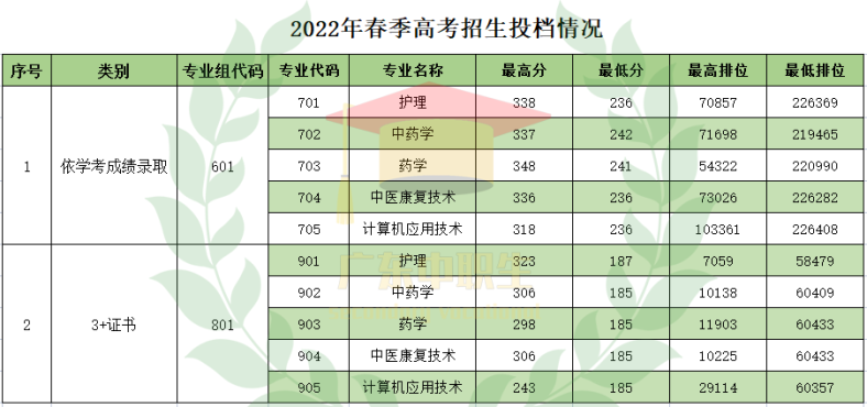 2022年广东这6校首招3+证书考生，投档最高分竟达382分？-1