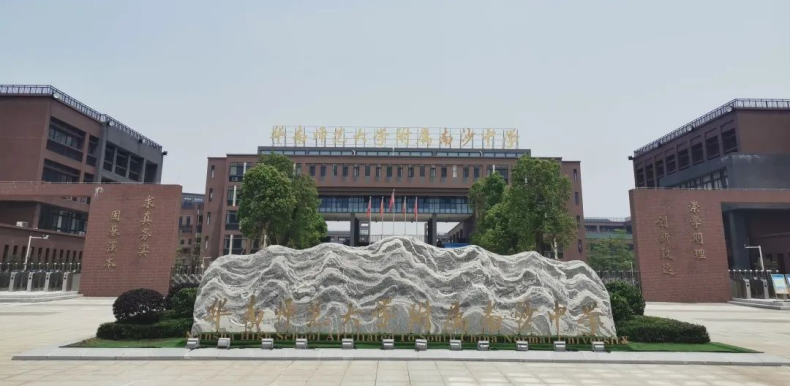 南沙区的公校有哪些，如何入读，是否有宿位，中考成绩如何？-1
