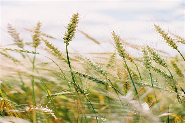 射洪旅游中等职业技术学校2023年宿舍条件-广东技校排名网