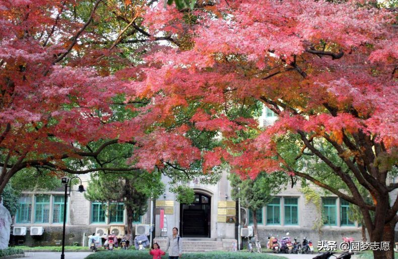 苏州大学有哪些专业(附:王牌专业、国际排名、录取分数线)-1 苏州大学有哪些专业(附:王牌专业、国际排名、录取分数线)-广东技校排名网