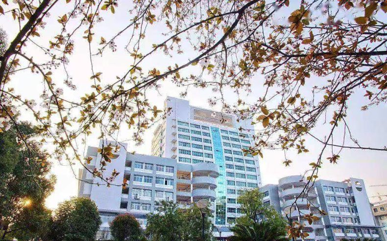 湖南最好的几所大学（附：湖南省内50所本科大学排名）-1