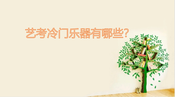 艺考冷门乐器有哪些？适合艺考最容易过的冷门乐器一览表-广东技校排名网