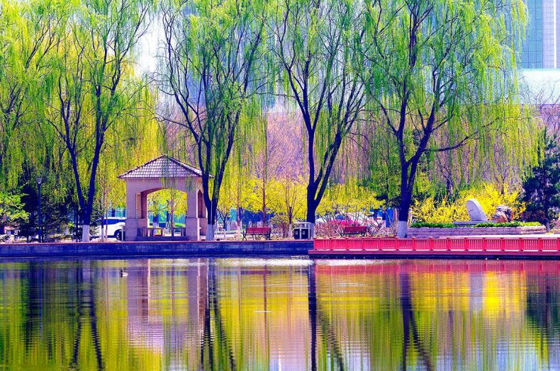 河北省高职志愿怎么选-河北大专院校排名榜-1