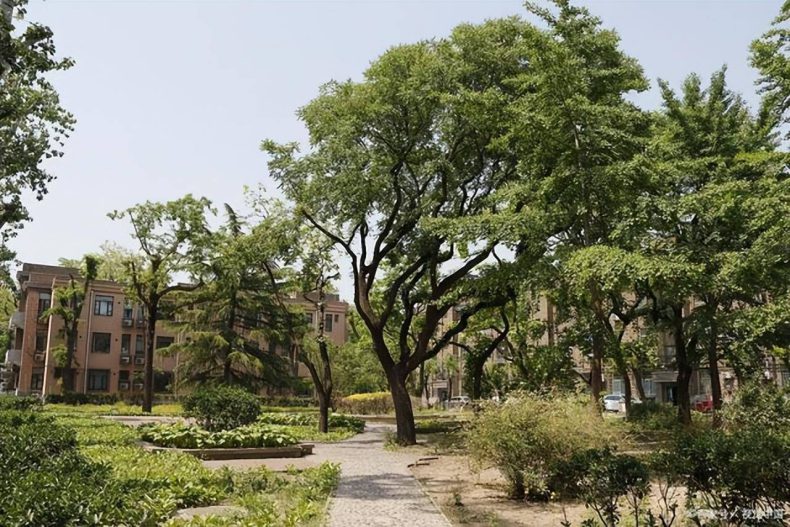 全国农林类大学排名,4所林业院校7个学科入选“双一流”-1 全国农林类大学排名,4所林业院校7个学科入选“双一流”-广东技校排名网