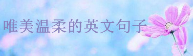 20句唯美小清新的英文短句集锦，小众却很温柔的神仙英文句子-广东技校排名网