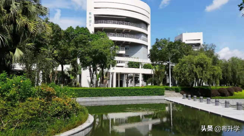 广东音乐学校哪个好（附：广东省学音乐专业的院校名单及专业）-1