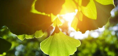 致自己心静看淡一切释然的句子大盘点，25句静心的句子看透人生！-广东技校排名网