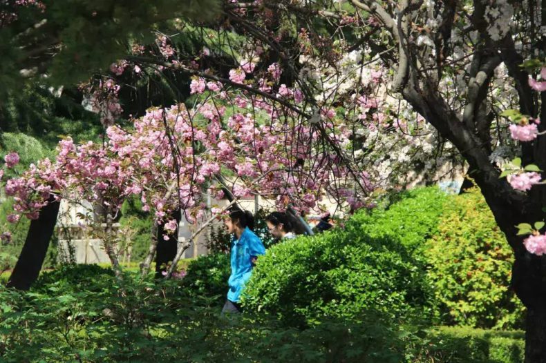 晋城一中前多少名才能上985-如何正确报考晋城一中-1 晋城一中前多少名才能上985-如何正确报考晋城一中-广东技校排名网