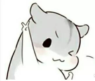 中国地势最高盆地排名一览表(中国四大盆地介绍)-广东技校排名网